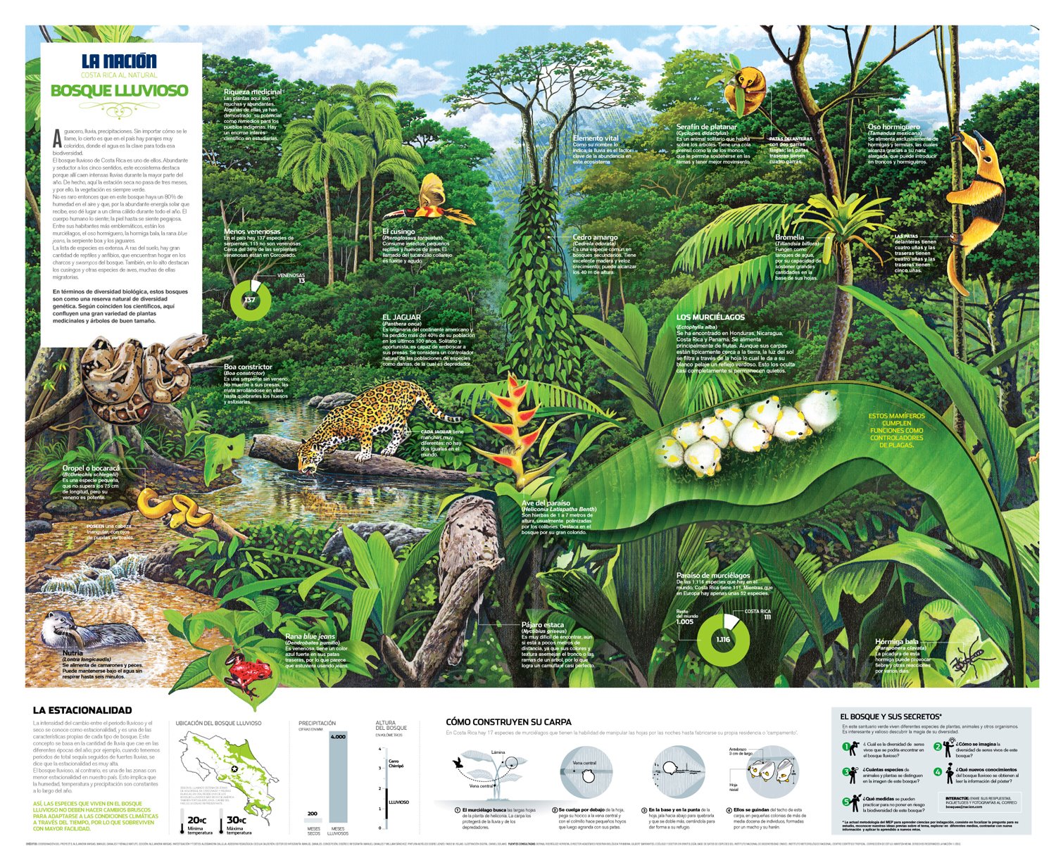 Hutan Hujan Tropis Kosta Rika
