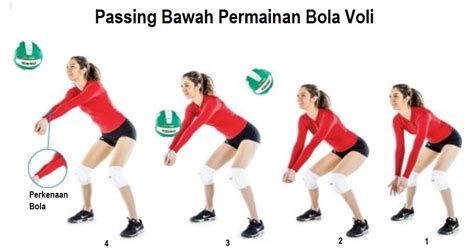 Panduan Lengkap Melatih Bola Voli: Dari Dasar hingga Strategi Juara