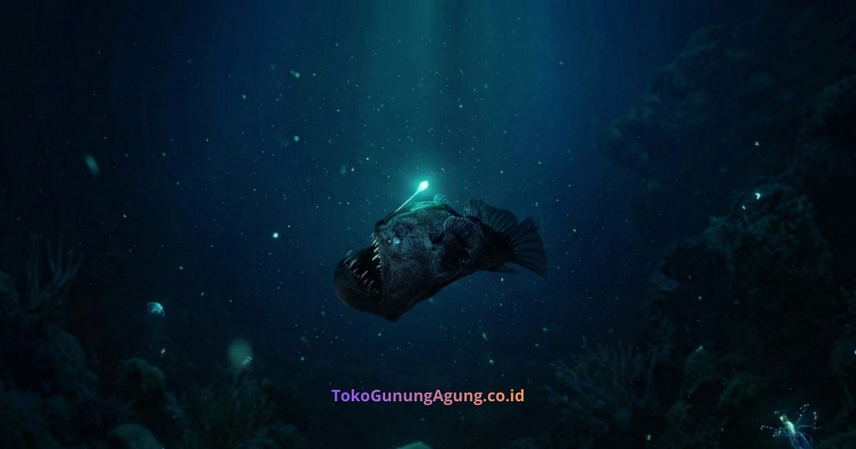 Fakta Unik Ikan Sungut Ganda (Anglerfish) Monster Laut dengan Pancingan Bercahaya