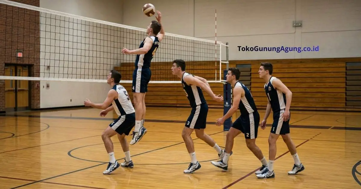 Panduan Lengkap Melatih Bola Voli dari Dasar Hingga Strategi Juara