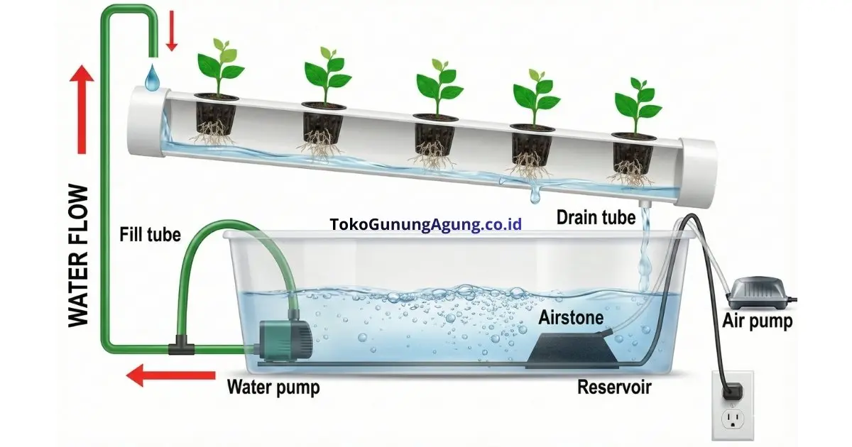 Panduan Lengkap Sistem Hidroponik NFT (Nutrient Film Technique) Cara Kerja, Kelebihan, dan Kekurangan